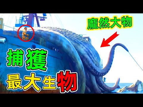 世界捕獲最大的10種生物！原來傳說中的“深海巨獸”真的存在#世界最大的捕獲 #深海巨獸 #top10 #世界之最 #王宇觀地球