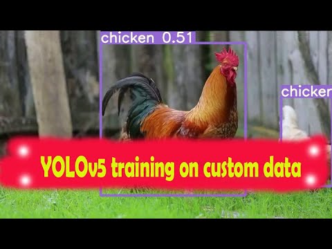 YOLOv5 training with custom data