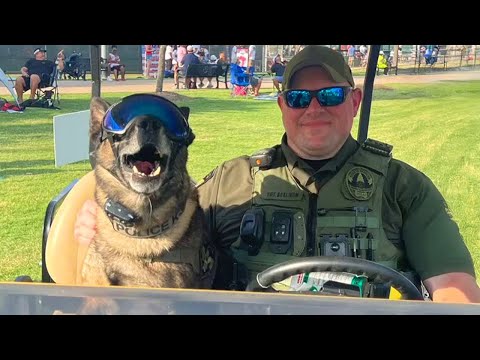 Incredible Moments After Police Dogs Retire 🐶💙 Funny Dog Videos