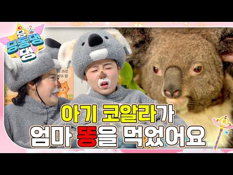 아기코알라 코코 환자가 배탈로 병원에 왔어요!ㅣ딩동댕 딩동댕ㅣ아기 코알라가 엄마 똥을 먹었어요