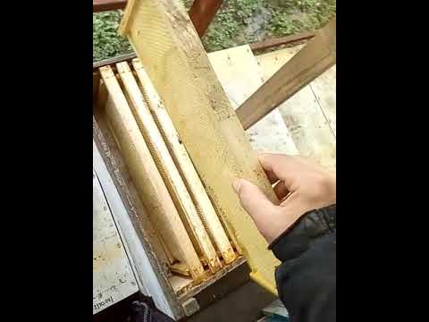 Рамка 145 без проволоки!