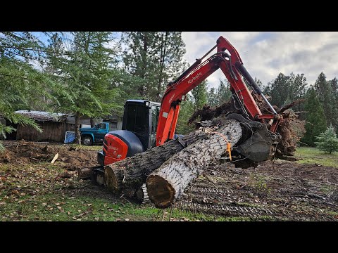 Trees trash and automobiles with the Kubota KX 040 4 and Stihl MS261