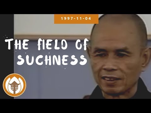 The Field of Suchness | Teachings on Buddhist Psychology Retreat, Thich Nhat Hanh, 1997