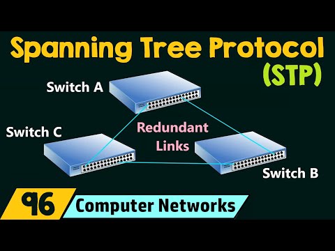 Spanning Tree Protocol (STP)