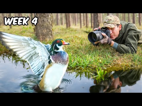 I Only Photographed Birds at 135mm, Here’s What I Learned