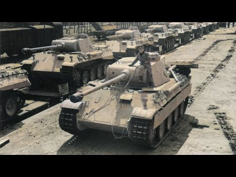 The Silver Banded Shell That Finally Killed Panthers — They Had To Ration Every Shot