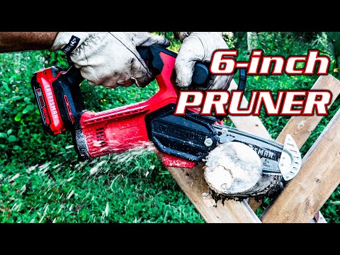 Craftsman 20V 6-inch Pruning Chainsaw Review