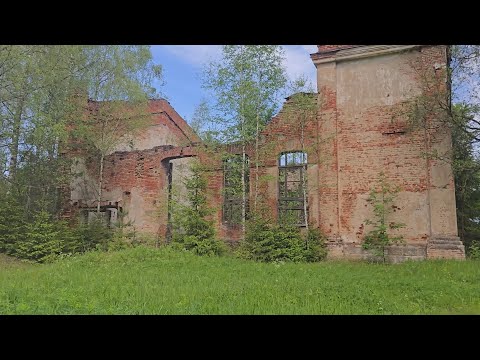 Неожиданная находка в лесу на ниве