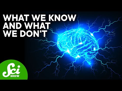 Why Do Antidepressants Cause Brain Zaps?