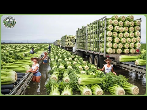 Modern Agriculture Machines on Another Level - Farmers Haul Billion Tons in Massive Harvests
