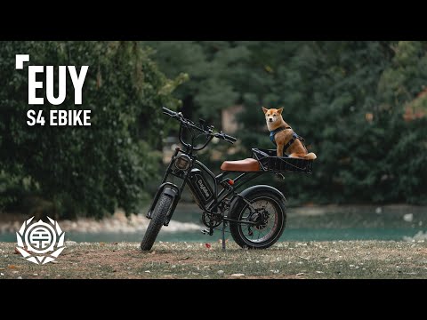 This eBike is a Hidden Gem! | EUY S4 Moped-Style eBike