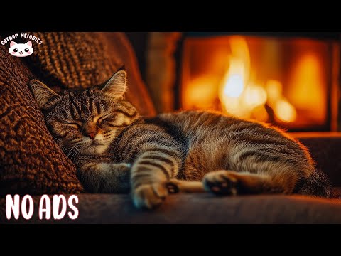 Healing Cat Music 🐾 Natural Sounds for Pet Relaxation and Deep Night Recovery From Daily Stress