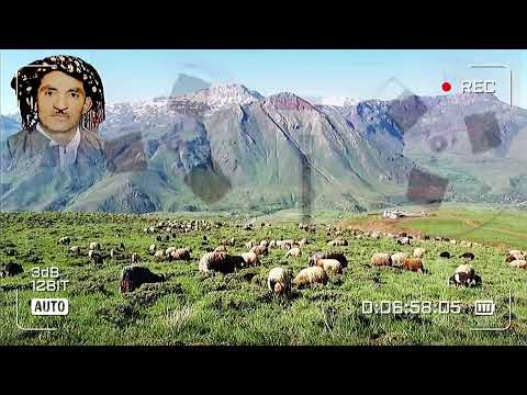 حەسەن زیرەک/هەڵبژاردە مەجلسی/hasan zirak/majlsi/#hasanzirak #حەسەن_زیرەک #گۆرانی #گۆرانی_رۆژهەلات