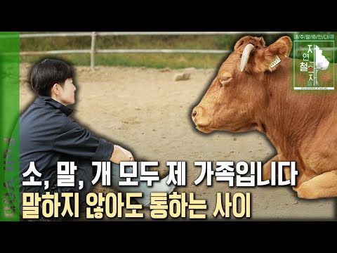 어머니의 농장을 뛰어노는 소들?! 말과 견공, 다양한 동물들과 ‘공동체’라는 이름의 또 다른 가족을 만들었다! [자연의 철학자들 KBS 20221021 방송]