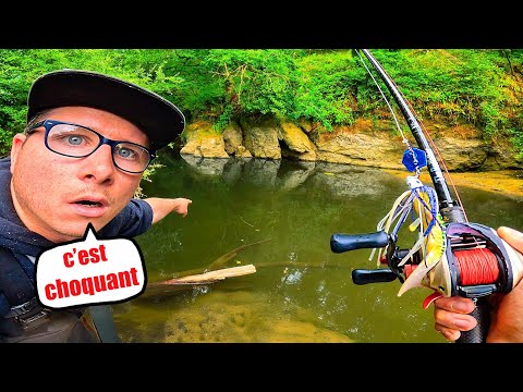 Poissons monstres inattendus et macabres découvertes dans cette petite rivière !! ( C'EST CHOQUANT )