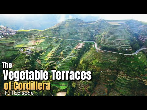 Kabundukan na ginawang taniman ng mga gulay  | Full Episode