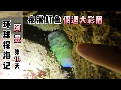 《环球探海记》阿曼~第18天：海里的鱼为什么在晚上都是睁开眼睡觉的？#自由潜渔猎#阿曼旅行#夜间打鱼#