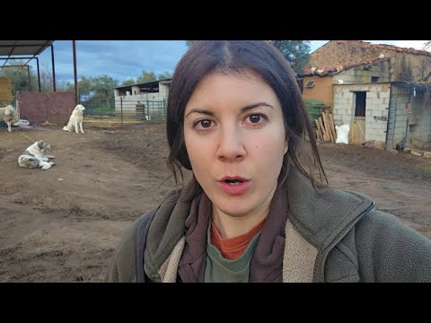 He tenido que salir pitando de la cochinera, a la Cer le ha dado una neura