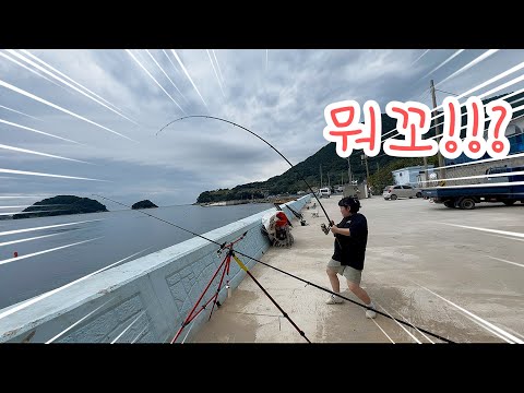 금오도 원투낚시 가족여행!
