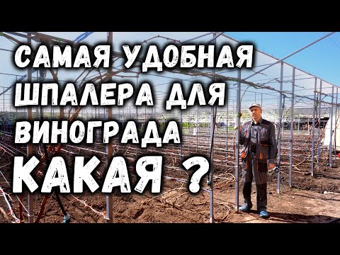 Самая удобная шпалера для винограда - Какая?