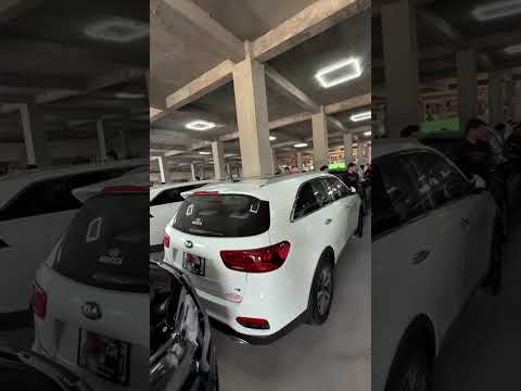 Auto King brings a wide range of cars on-ground at PakWheels Faisalabad Car Mela