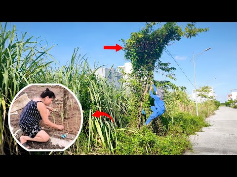 Retired Doctor Helps Us Revive Abandoned Sidewalk and How She Stops Weeds from Growing Back