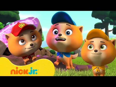 PAW Patrol Junior Patrollers' Best Moments! w/ Nano, Mini, and Tot | 10 Minutes | Nick Jr.