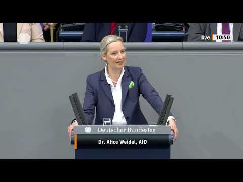 Heftiger Polit-Zoff im Bundestag! 🔥 Weidel zerlegt Grüne im Schlagabtausch | AfD vs. Grüne