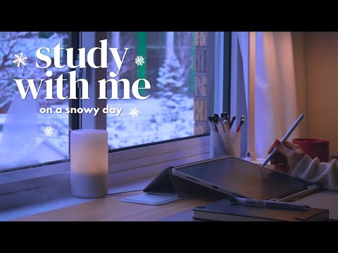 🌨️ 4-HOUR STUDY WITH ME on a Snowy Day | 🔥 Fire Crackling Ambience | No Music | Pomodoro 50/10