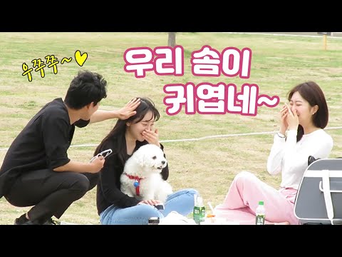 Asking to pat a dog, but patting a girl [DCTVGO]