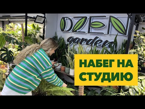 Studio Raid » Plant Inspection and Assessment