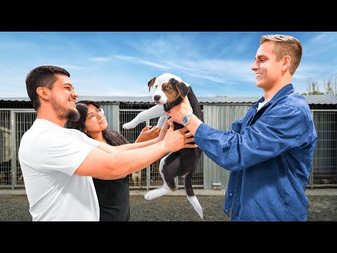 I Adopted EVERY Dog In A Dog Shelter