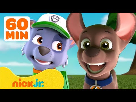PAW Patrol | PAW Patrol: Große Gefühle! mit Rocky & Zuma | Nick Jr. Deutschland