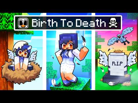 BIRTH to DEATH of an OWL in Minecraft!