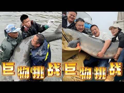 重庆收巨物，8个成年人都抱不动的巨物能否成为镇塘之宝｜背着媳妇偷偷出来拉鱼，差点进不了家门