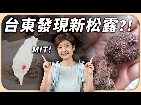 原來台灣也有原生松露！它成為世界最貴食材的真正原因？揭秘超高難度人工栽培過程！【Liz 美食家】