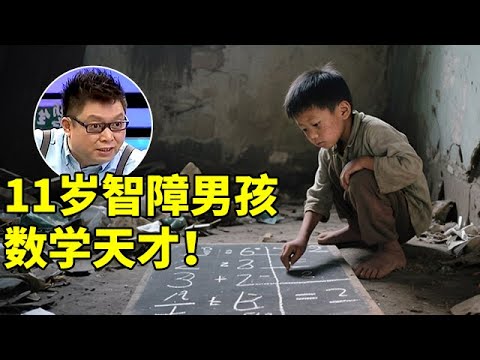 11岁陕西智障男孩,竟是数学天才,心算堪比计算机!全场难以置信【王芳王为念访谈】