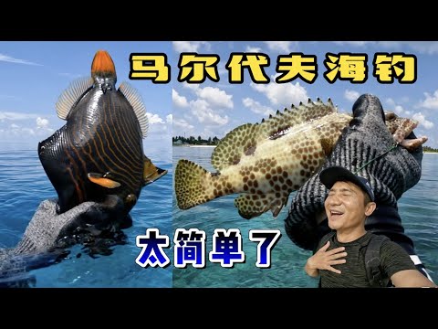 《环球探海记》马尔代夫 第8天:浮潜能钓鱼吗,今天我来挑战一下! #马尔代夫 #赶海 #海钓 #旅行攻略