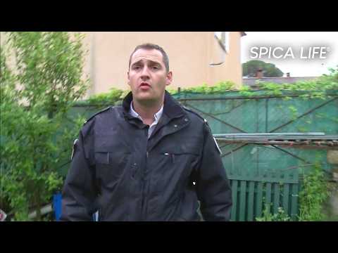 Sécurité urbaine : police secours en première ligne