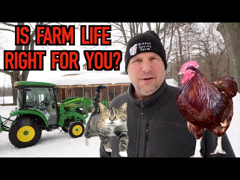 5 Reasons We Chose Small Farm Life