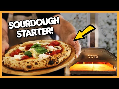 Neapolitan sourdough pizza dough full recipe 🍕