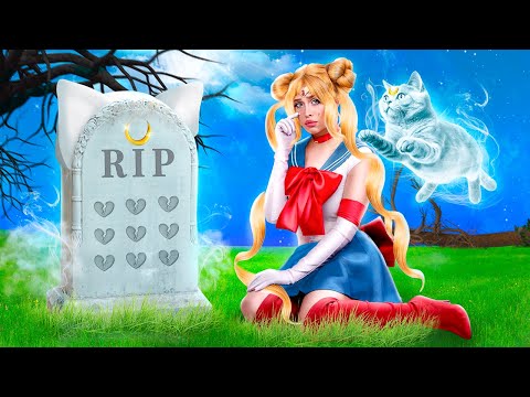 Сейлор Мун спасла бездомного котенка! Лайфхаки для владельцев животных