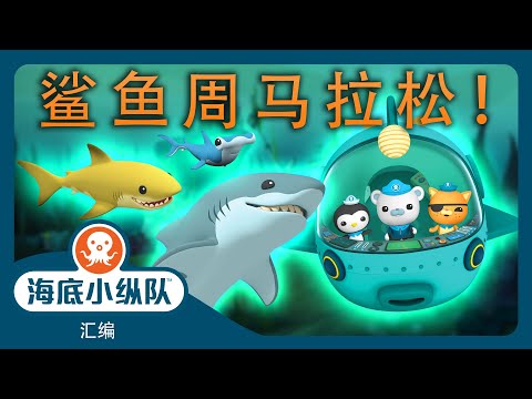 海底小纵队 - 🦈 鲨鱼周马拉松! 🤿 | ⏱️ 1小时+汇编 | 集完整版