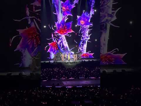 Pink Venom live | the DEADLINE tour Barcelona #blackpink