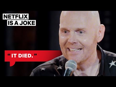 Bill Burr Learned Why Gorillas Shouldn't Have Pet Kittens | Netflix Is A Joke
