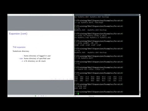 UNIX shell expansion: proper use and advanced forms