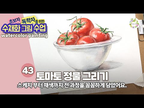 수채화 토마토 정물화 그리기 - 스케치이론 채색과정 설명_ 초보자 독학자를 위한 수채화 그림수업 43강- watercolor painting 물고기아트