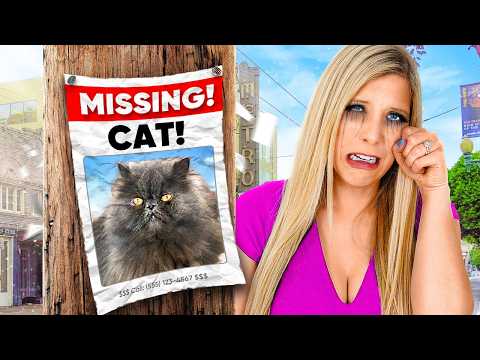 My CAT Was KIDNAPPED…