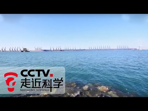 《走近科学》 让海水变“甜”（下）：曹妃甸地区 环渤海海水淡化项目的最佳选址 20181223 | CCTV走近科学官方频道