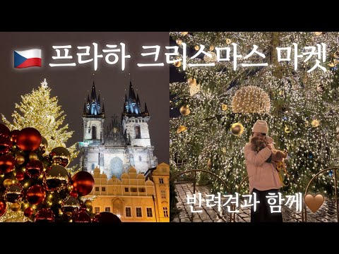 🇨🇿프라하 크리스마스 마켓🎄✨ with 반려견 Christmas Market in Prague with puppy